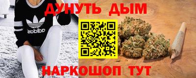 spice Моздок