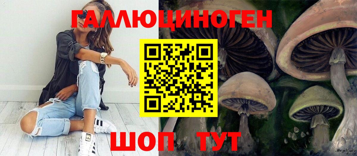 Тольятти  Псилоцибиновые грибы Magic Shrooms  Вход с VPN 